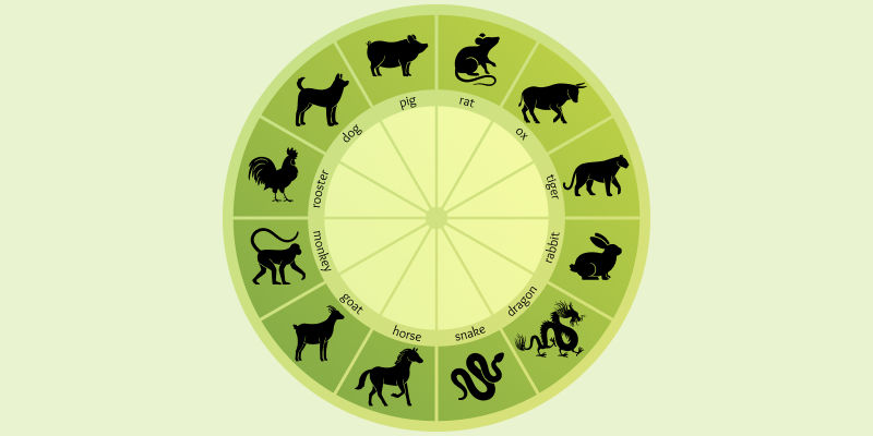 Understanding Lunar Animals and Compatibility: A Guide for the Maccha Community